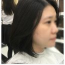 살론드 슈슈