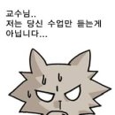 와드 이미지