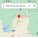 나무타는고양이와구경하는강아지뱅갈놀이터 | 달랏(Dalat) 일정 및 숙소