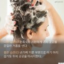 헤어나올수 - 금정구 | 헤어나올수
