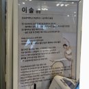 울산_ 전문적인 필라테스 중구 약사동 ‘솔 필라테스’ 그룹 수업 후기