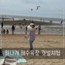 하나개 편의점 | 하나개해수욕장 주차 파라솔 텐트 무료갯벌 해감 물때 취사 까지 총정리