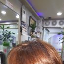 헤어천연염색전문점 이미지