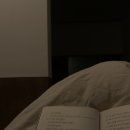 아틴 마루 이미지