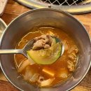 은행나무 갈매기 이미지