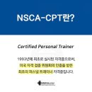 맥시멈짐 이미지