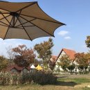 안성팜랜드 푸드트럭 이미지