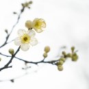 기대농장 이미지