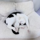 26-05 다섯번째 일상<출근길 탬버린: 영화 살목지: 선술집 왕대포 맛조개: 네일 패디>