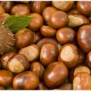 율산농장 이미지