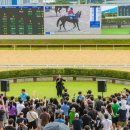 렛츠런파크 부산경남 이미지