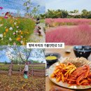 내기농장 | 평택 아이와 가볼만한곳 먹거리 여행 포함 best5. 내리문화공원, 소풍정원, 농업생태원