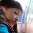 엠앤알 | (#3)청포대오토캠핑장...