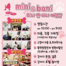 미니 앤 바니 애견샵 이미지