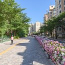 오목로3길 이미지