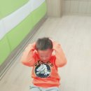 조원초등학교 정문 앞 이미지