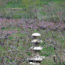 대곡 바다 이미지