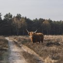 부주산국제파크골프장 이미지