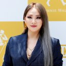 씨엘 카카오 검색결과