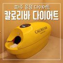 머슬메카 | 파주 운정 다이어트 칼로리바 다이어트 파주운정점 솔직한 방문후기