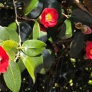 남해-276 이미지