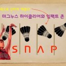 하이클리어 이미지
