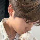 내 강아지 이미지