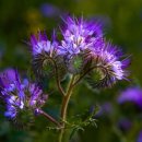 기독후문약국 이미지