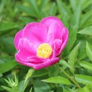 지금이순간 이미지