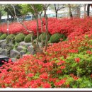 조선대학교병원 이미지