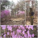 석문공원 주차장 이미지