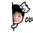 시루 돈부리 이미지