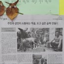 청개구리어린이도서관 이미지