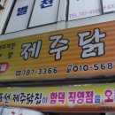 제주게토게스트하우스파티 이미지