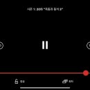 진도개사랑 이미지