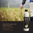 월광주조 네이버블로그