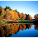 하얀물안개 이미지