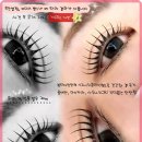 다인뷰티 이미지