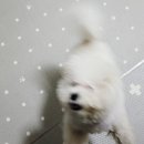 정성유통 - 단양군 평동22길 6 | 정성유통