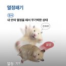 뉴매직크리닝 | 인생노잼시기가 또 찾아오다가 강제로 바빠서 잊혀졌다가 몆주치 밀려버린