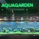 아쿠아가든카페 양재점 이미지