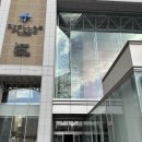 쎄븐카써비스 | [일본/삿포로] 가을 삿포로 에조사슴 만난 렌트카 드라이브 비에이 후라노 당일치기