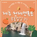 가야 2 | 제주도 서귀포 천제연폭포 2폭포 3폭포 차이 솔직후기, 어디까지 가야 할까?