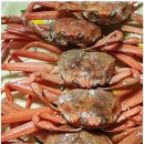 해일수산 이미지