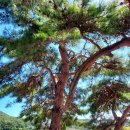 바다 풍월 펜션 이미지