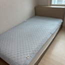 퀼트쥬니어 | 닥스 모달 이불 내돈내산 후기