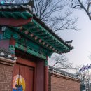 유관순길 Daum카페