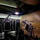 스타짐23 이미지