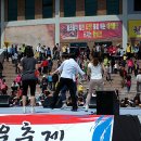 청도소싸움경기장 이미지