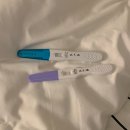 샌느 | 임밍아웃, 임신초기 피비침 후기, 임신 12주까지 햇병아리 임산부 초음파 기록